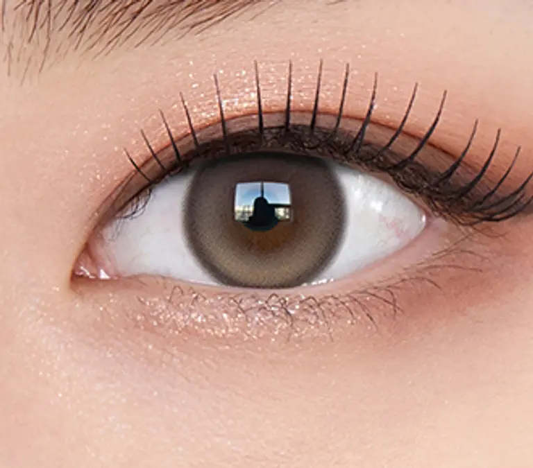 뮤즈 원데이 샤인브라운